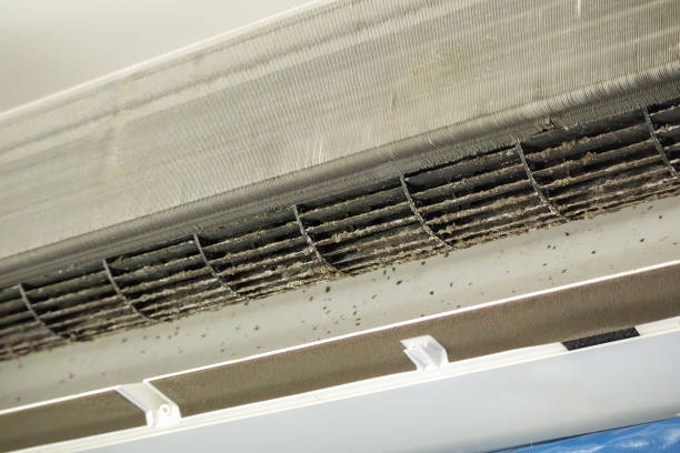 Professional Airduct Cleaning in Point Pleasant, WV